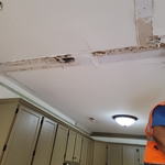 Our work