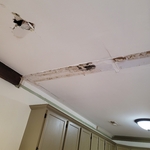 Our work