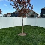White Vinyl Fence