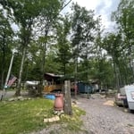 Rock Oak Removal