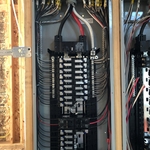 panel