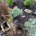 Plumbing Projects