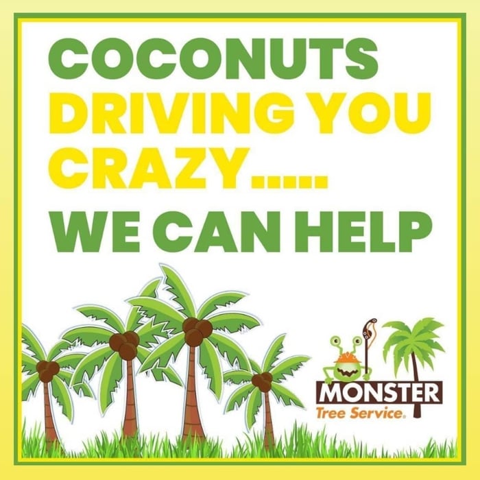 Coconuts