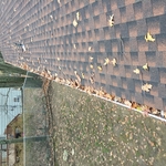 Gutter Guards