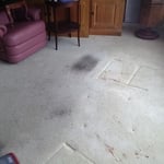 Before the clean