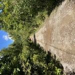Weber rd driveway