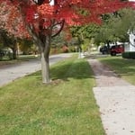 Street side yard