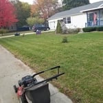 Main front yard