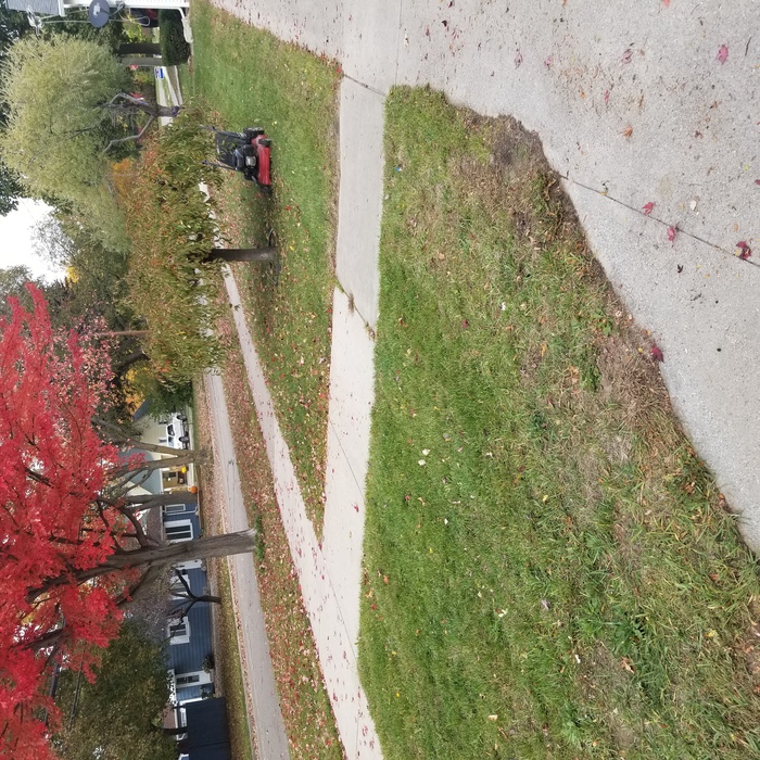 Garage side and side yard