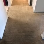 Our Work