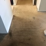 Our Work