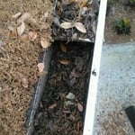 Clogged Gutters