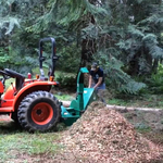 Grinding limbs to mulch