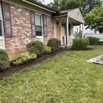 Yard cleanup
