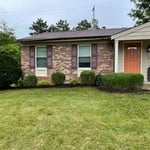 Mulched and trimmed shrubs