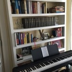 Beautifully arranged bookcase
