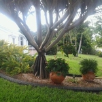 Flagstone