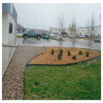 Our Work