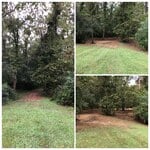 Before & After Sep 2020