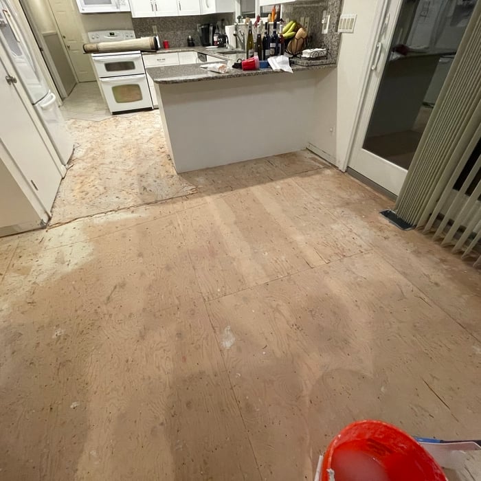 Living Room and Kitchen