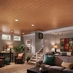 Woodhaven Ceiling