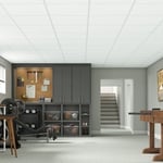 Game Room & Workout Area