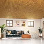 Living Room - Wood Ceiling