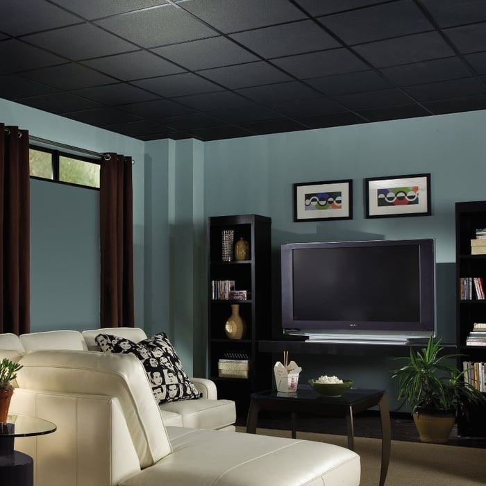 Living Area - Black Ceiling