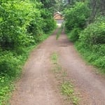 Over grown and class 5 driveway