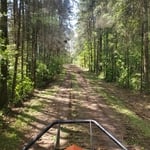 Finished of over grown driveway