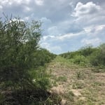 Shooting lane