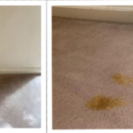 Cat Pee Removal