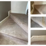 Cat Pee Removal
