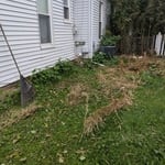 Yard cleanup