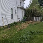 Yard cleanup