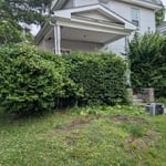 Yard cleanup