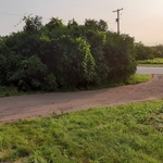 Driveway Repair