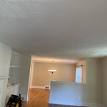 Plaster repair