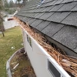 Clogged Gutters