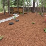 Natural Wooded Area