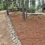 Natural Wooded Area