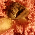 Just how I found it.
