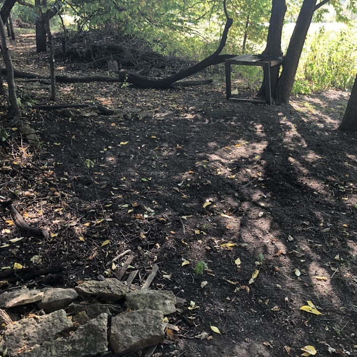 Back fence area clearing