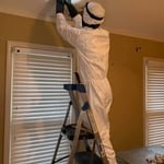 Mold Remediation