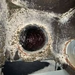 Mold Remediation