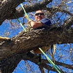Tree Trimming