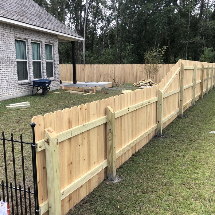 Cedar Fencing