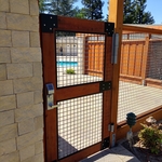 Pedestrian gate