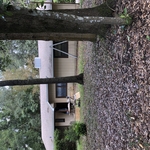 Our work