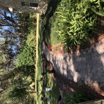 Our work